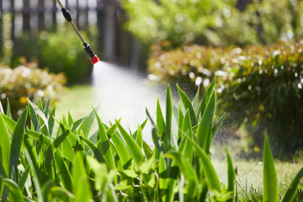 24/7 Emergency Wasp Removal experts in Wamac, IL