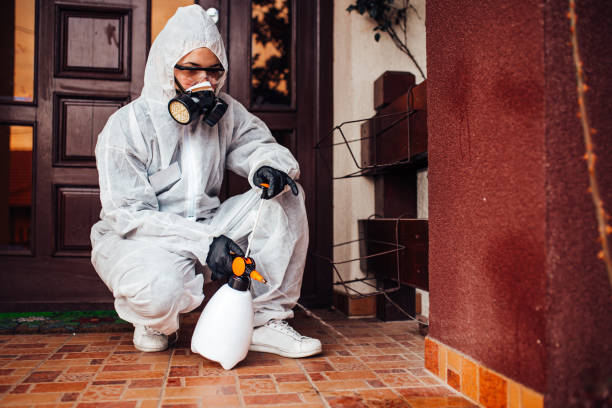 Reliable Wasp Removal contractor in Wamac, IL by Show Me Pest Control