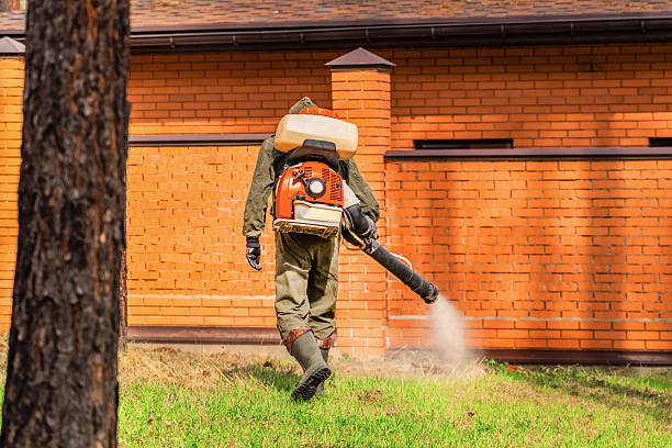 Top rated local Wasp Removal specialists in Wamac, IL